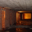 Glowing shelter